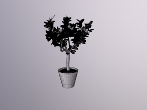 lemon tree 3D Model