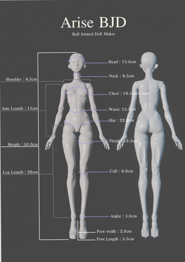 Arise BJD Ball Jointed Doll 3D Printed Model Doll 3D print model