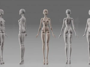 Arise BJD Ball Jointed Doll 3D Printed Model Doll 3D print model 3D Print Model