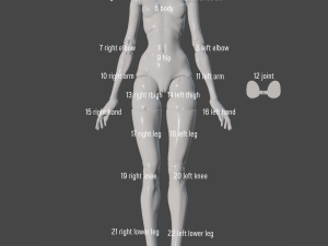 Arise BJD Ball Jointed Doll 3D Printed Model Doll 3D print model 3D Print Model