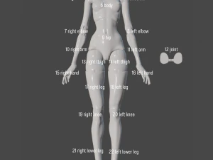 Arise BJD Ball Jointed Doll 3D Printed Model Doll 3D print model 3D Print Model