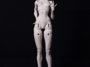 Arise BJD Ball Jointed Doll 3D Printed Model Doll 3D print model 3D Print Model