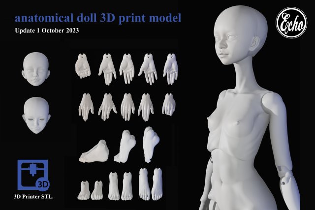 Hand mannequin for 3d printing 3D Print Model in Other 3DExport