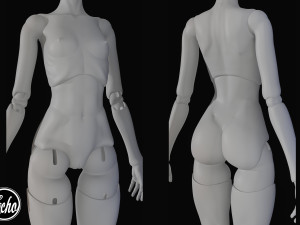 Anatomical doll BJD 30mm 3D print model 3D Print Model