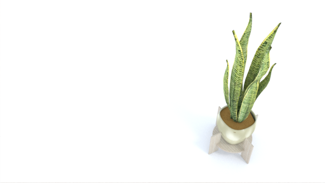 Variegated Snake Plant Modello 3D .c4d .max .obj .3ds .fbx .stl .blend 