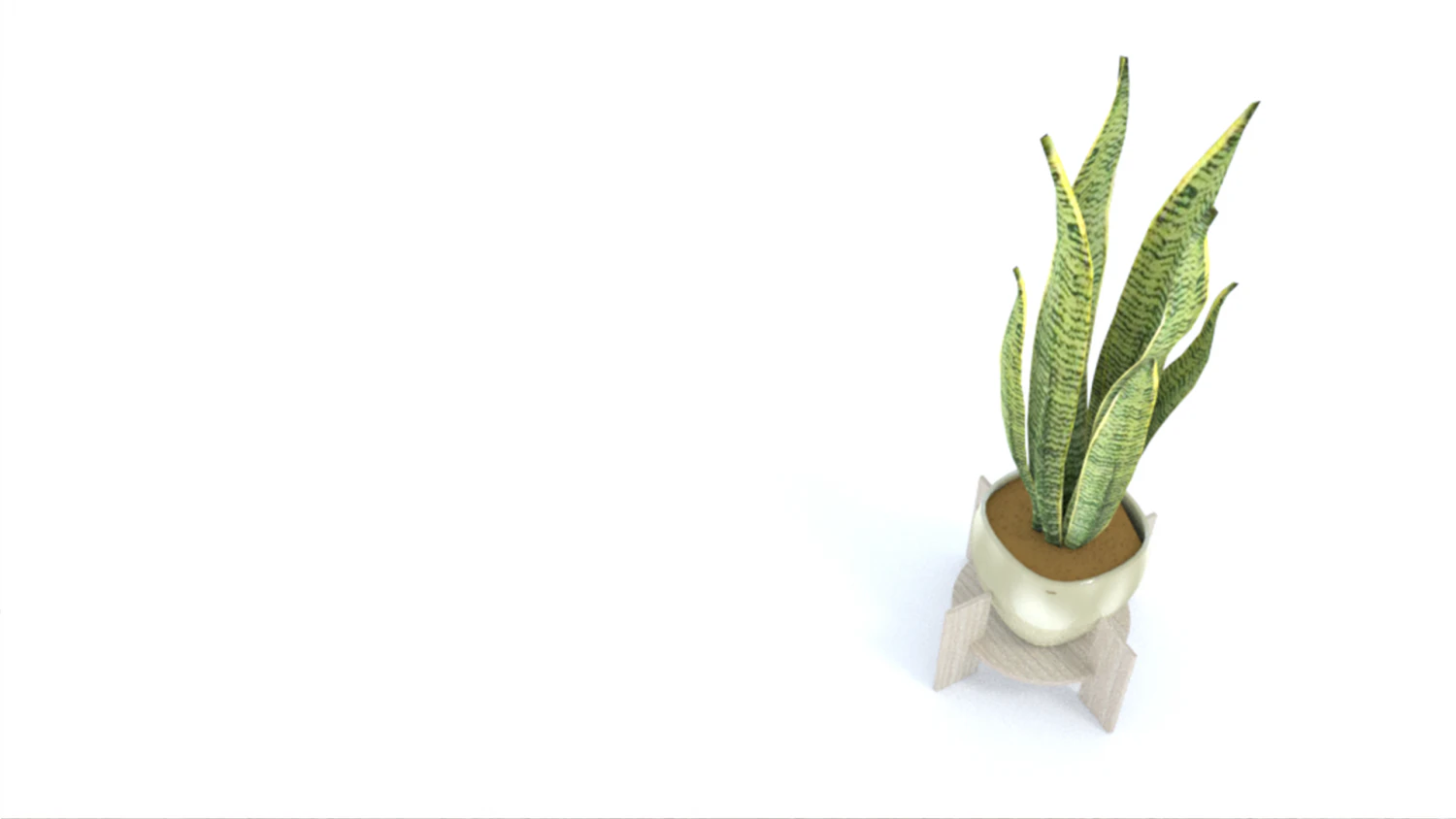 Variegated Snake Plant 3D Model .c4d .max .obj .3ds .fbx .stl .blend