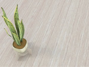 Variegated Snake Plant Modello 3D