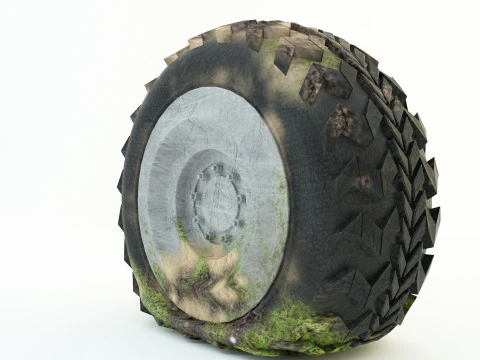 Спущена шина 3D Модель