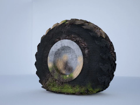 Спущена шина 3D Модель