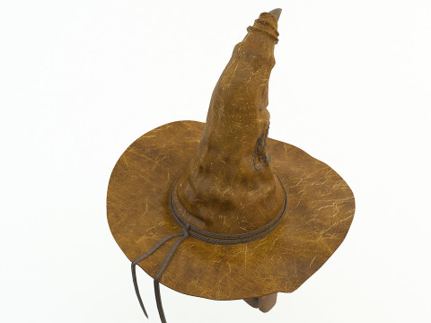 Harry potter Sorting Hat 3D 모델