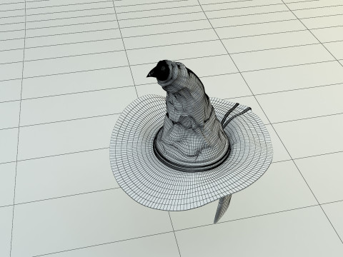 Harry potter Sorting Hat 3D 모델