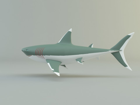 Megalodon shark model 3D मॉडल