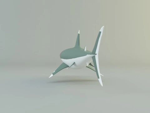 Megalodon shark model 3D Model