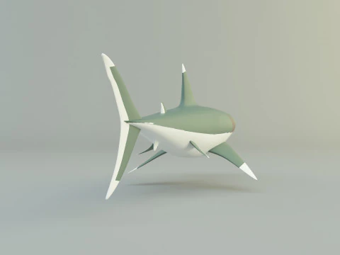 Megalodon shark model 3D Model