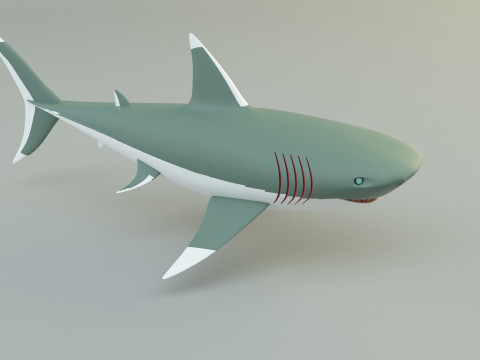 Megalodon shark model 3D-Modell