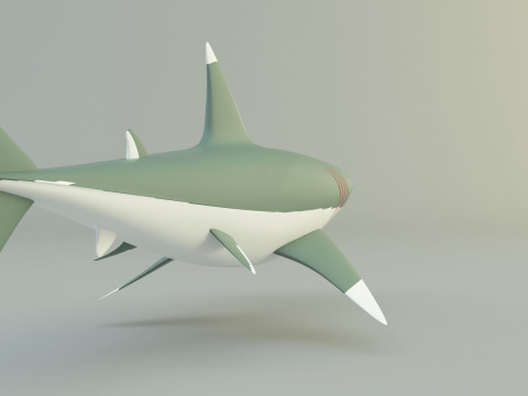 Megalodon shark model 3D-Modell