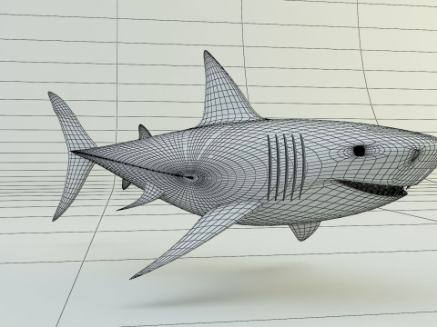 Megalodon shark model 3D-Modell