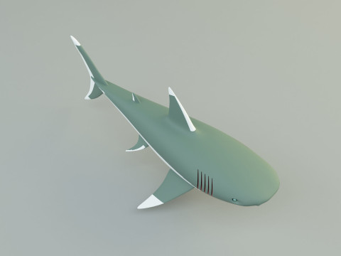 Megalodon shark model 3D-Modell