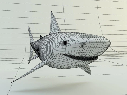 Megalodon shark model 3D Model
