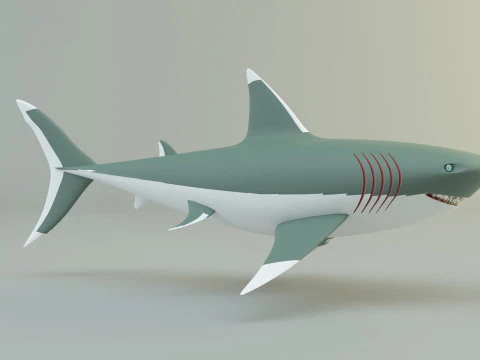 Megalodon shark model 3D Model