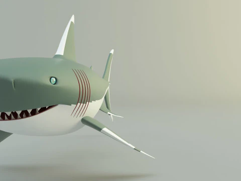 Megalodon shark model 3D Model