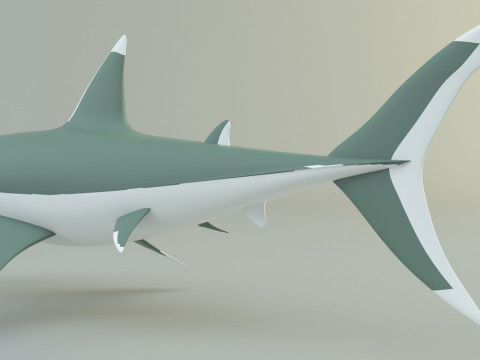 Megalodon shark model 3D-Modell