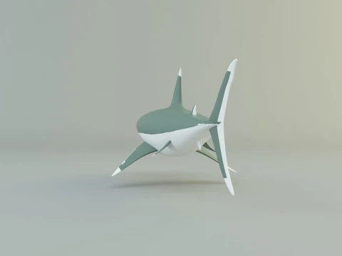 Megalodon shark model 3D Model