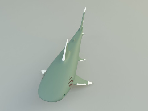 Megalodon shark model 3D-Modell