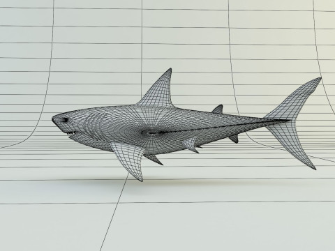 Megalodon shark model 3D-Modell