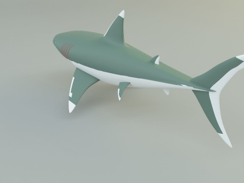 Megalodon shark model 3D-Modell