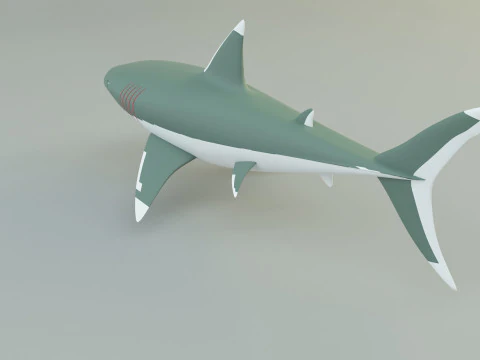 Megalodon shark model 3D Model