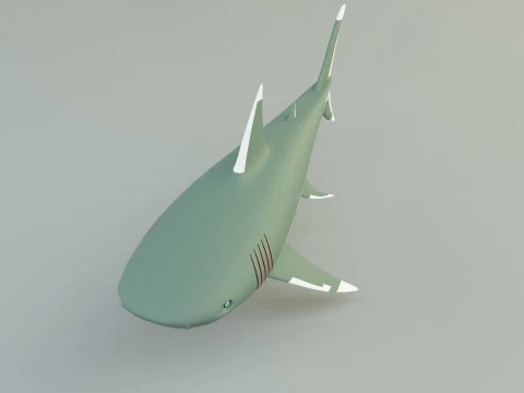 Megalodon shark model 3D Model