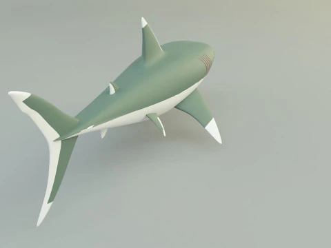 Megalodon shark model 3D Model