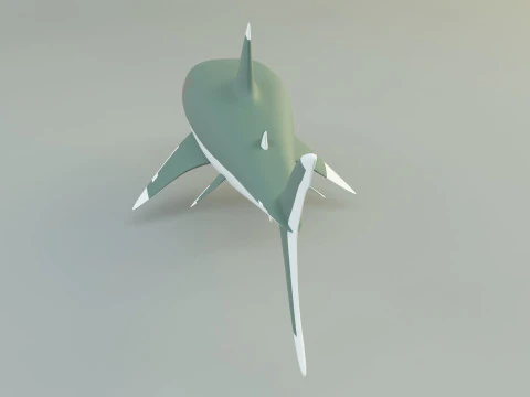 Megalodon shark model 3D Model