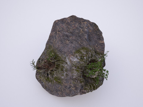 Natural rock tree model 3D Модель