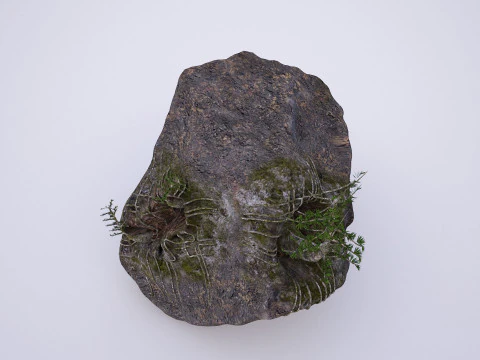 Natural rock tree model 3D Model