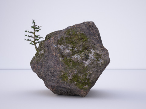 Natural rock tree model 3D Модель