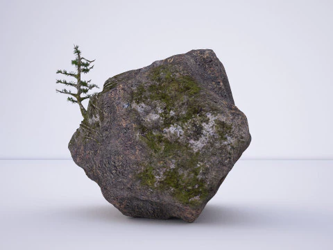 Natural rock tree model 3D Model
