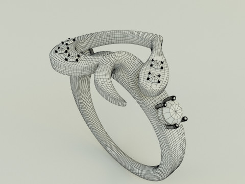 Design ring 1 Modelo 3D