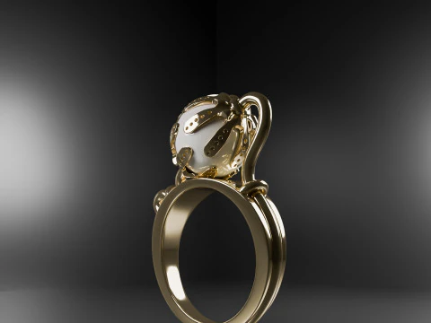 Design ring 2 3D Model