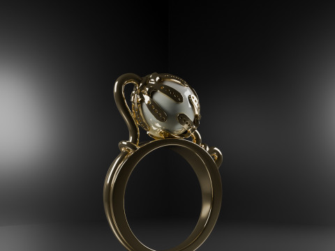 Design ring 2 3Dモデル