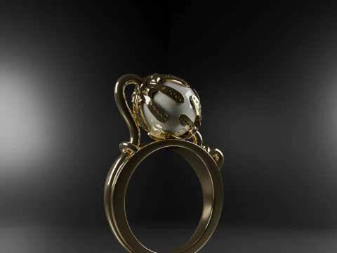 Design ring 2 3D Model
