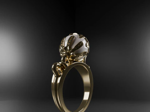 Design ring 2 3D Model