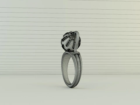 Design ring 2 3D Model