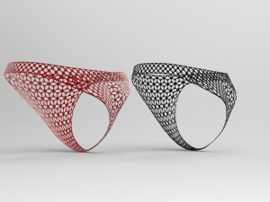 Lace underwear Modelo 3D