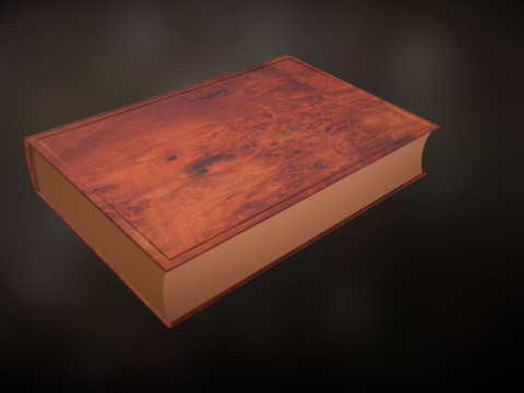 Old book 3D Model