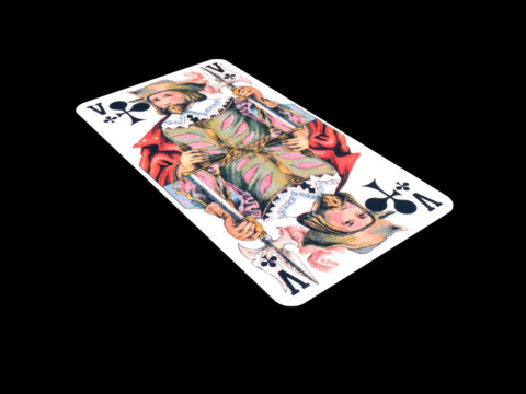 Game card servant Modello 3D