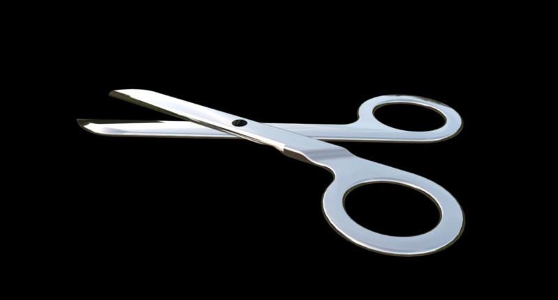 Scissors 3D Модель .c4d .max .obj .3ds .fbx .stl .blend 