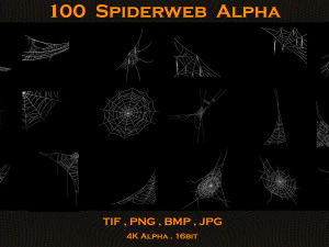 100 Spiderweb Alpha 3D Print Model
