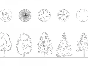 Tree Graphic Symbols - Revit Family Collection 3D Model